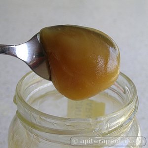 foto de miel de espliego de alta calidad para apiterapia HD